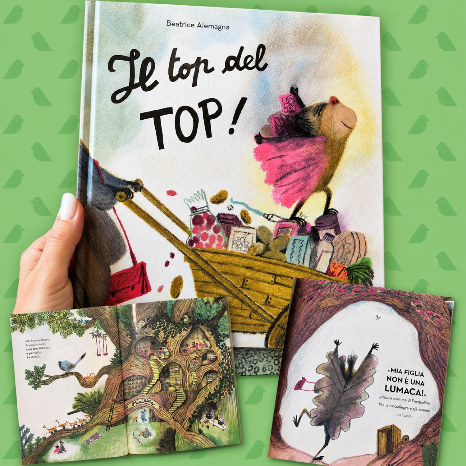Libro illustrato e idee regalo